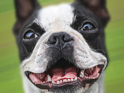 Custom Digital Pet Portrait artoftheday creative custom digital dog draw fiverr order painting pet photoshop portrait