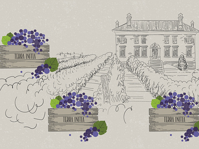 The traditions of the best wine