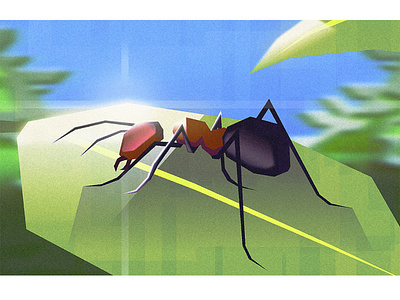 Ant 🐜 animal art background character clean concept design drawing flat gfx graphic illustration illustrator minimalist nature vector