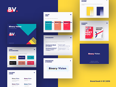 Binary Vision new Brand System Guide brandguide brandidentity branding design logo typography