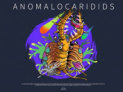 ANOMALOCARIDIDS card illustration ygg
