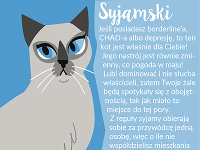 Syjamski cat guide illustration ilustracja kot lineless siamese syjamski
