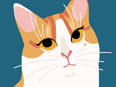 Albin cat cats illustration lineless