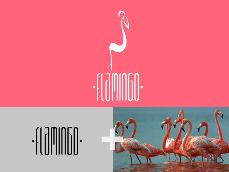 Flamingo Logo N LogoType by Hicran on Dribbble