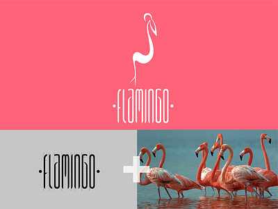 Flamingo Logo N LogoType art branding design graphic icon logo typography web