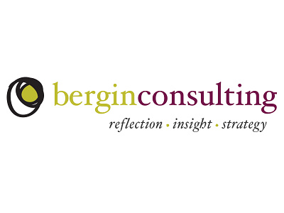 Bergin Dribble3 branding consulting hoefler logo services