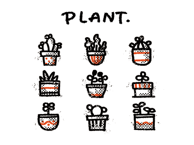 Plant illustration