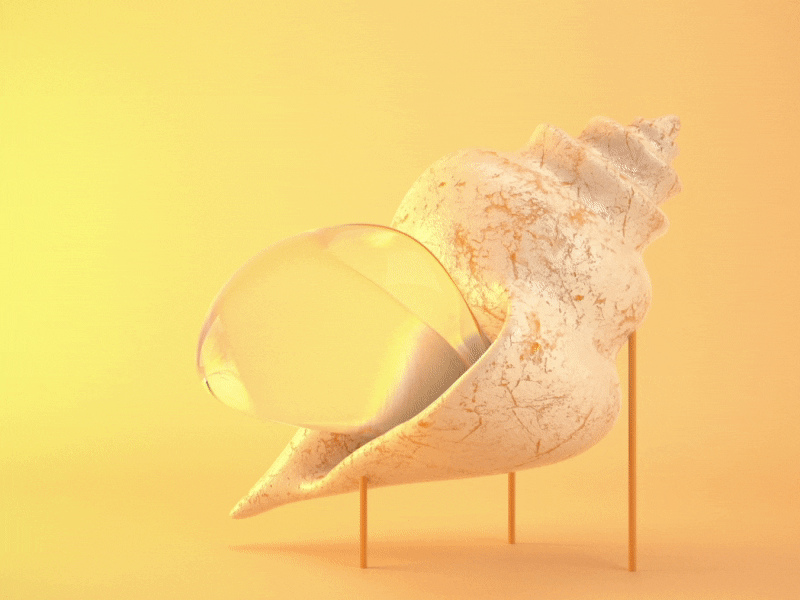 Shelly 3d animation bubble loop motion design motion graphics seashell