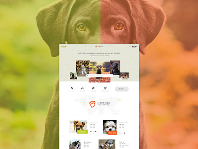 doglove dog interface layout love ui design user interface ux webdesign