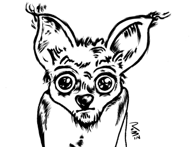 "Chihuahua" fine crow quill chihuahua crow quill ink