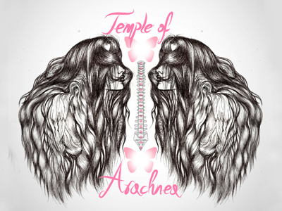 Temple Of Arachnea black butterfly grey hair illustration logo ornate pink symmetry woman