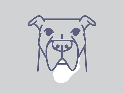 Bruno boy dog illustration vector