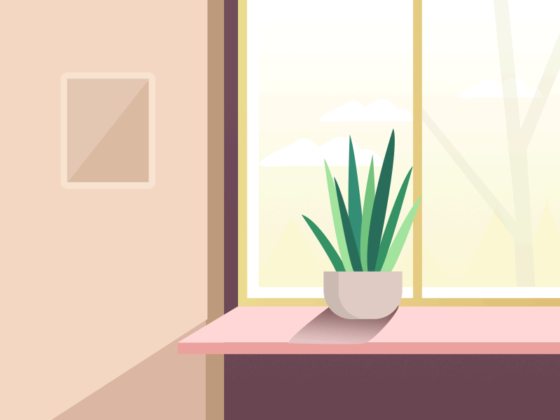 Window and plant illustration gif animated 平面 扁平 插图 绿色