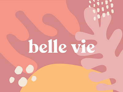 belle vie - logo experimentation