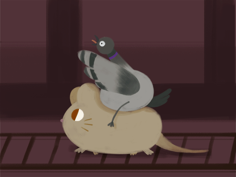 PigeonGoPigeon 2d 2d animation animation cartoon design frame by frame graphic graphic design nyc photoshop pigeon rat