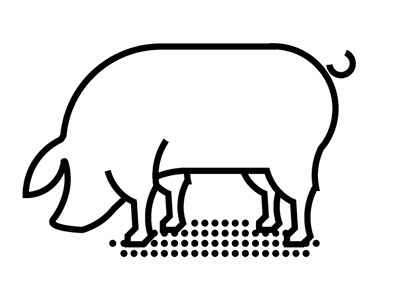 Pig dot screen illustration line pig vector