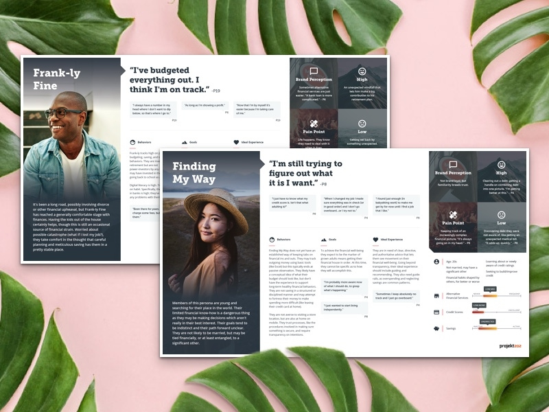 User Personas data viz data graphs research ux persona