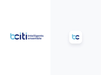 Brand identity -bciti and icons app design design interaction design logo ui design ux ui design web design