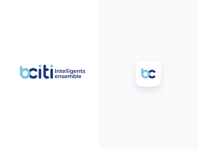 Brand identity -bciti and icons