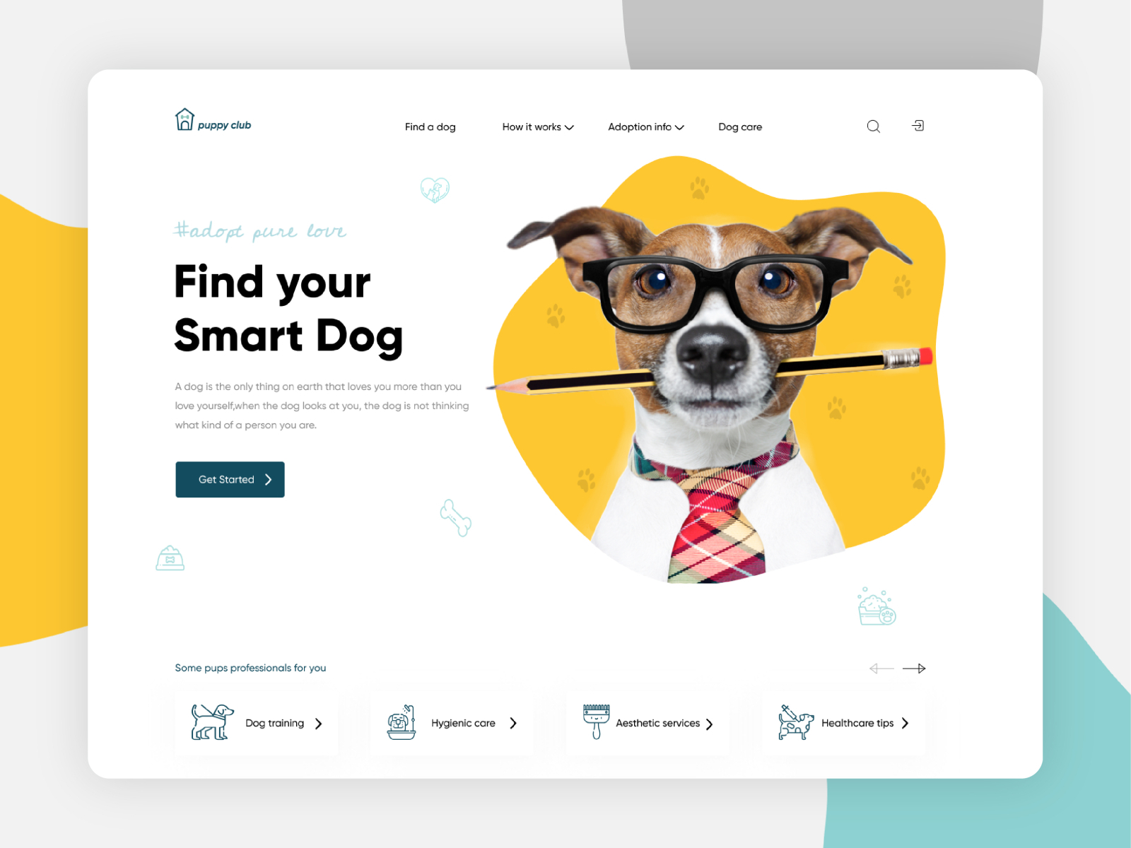 Pet Adoption Website Ui Design By Star Wolfy On Dribbble