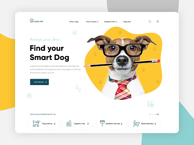 Pet Adoption Website UI Design animal animal website ui app ui cat dog dog website ui home page landing page landing page ui pet pet landing page pet shop website pet shp pet store pet store website pet website ui responsive ui web ui website ui design