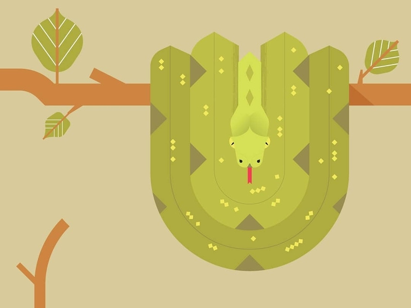 Green Tree Python by Samuel Oktavianus on Dribbble