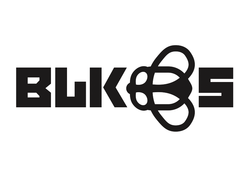 Black Flys Sunglasses Rebrand Concept BXC