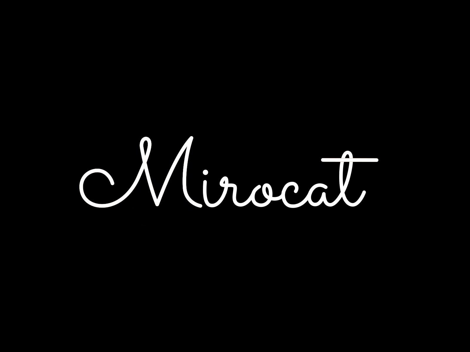 Mirocat animation color design line logo mirocat text type