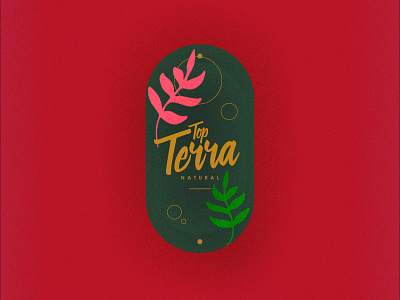 Top Terra art branding design illustration illustrator life logo marca typography viral web