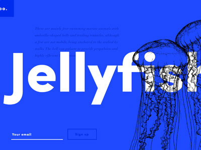 Typography + UI blue experiment identity jellyfish typography