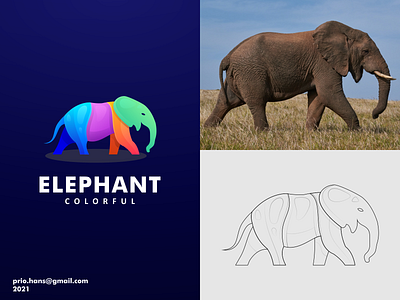 Colorful Elephant Logo animal logo brand branding color colorful logo elephant elephant logo logo prio hans typography vector