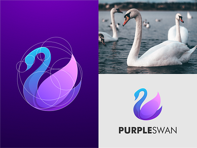 Swan Logo brand brand guidelines branding color illustration logo logo designer logo grid logo guidelines modern logo prio hans swan swan logo typography vector