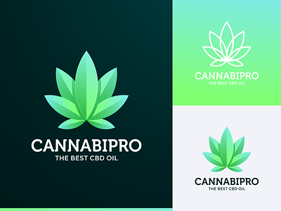 CANNABIS LOGO brand branding cannabis cannabis logo cbd oil color design graphic design illustration logo prio hans typography vector