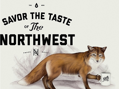 North Co Banners ampersand coffee drink fox mug north northwest qualtrics seattle serif typography washington