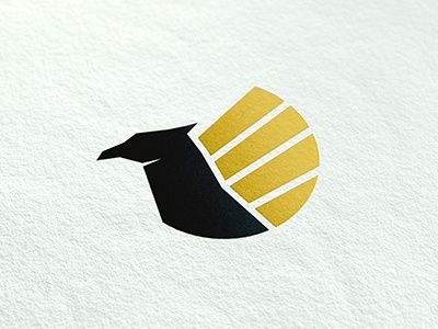 Black Gryphon - Branding proposal black branding gryphon identity logo