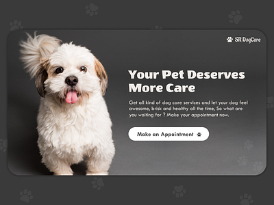 Pet Care appointment care doctor dogs grey paw pet petcare petpaw pets puppy
