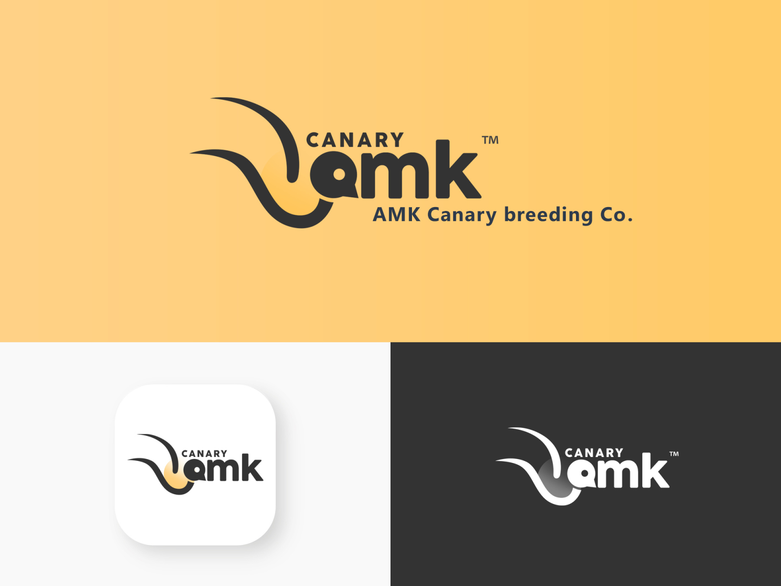 AMK Technologies