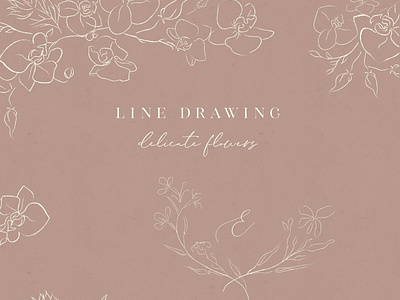 White Line clipart hand drawn fine art graphic orchid flower.