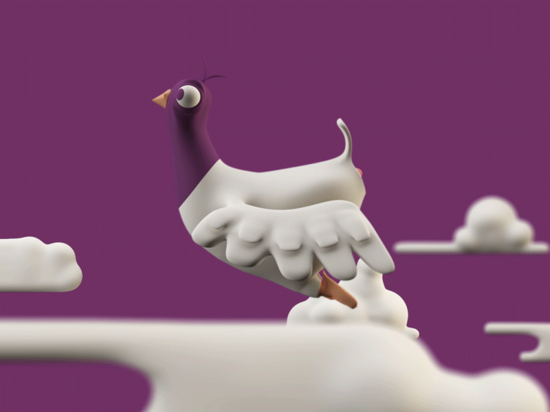 Pigeon Fly Cycle 3d animation c4d cycle pigeon