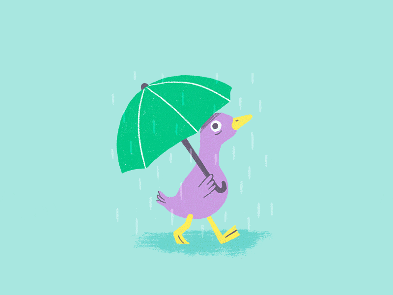 Duck walking in the rain 2danimation animation character color colors duck duckling framebyframe illustration rain