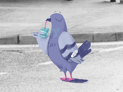 Pigeon drinking human tears animal bird character city color colors illustration pigeon