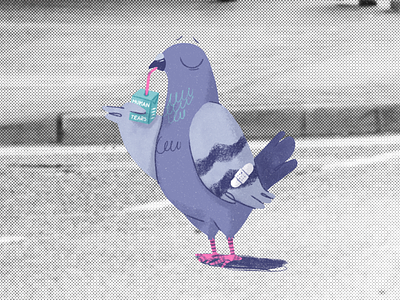 Pigeon drinking human tears