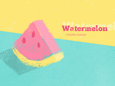Watermelon collage color colors drawing illustration texture