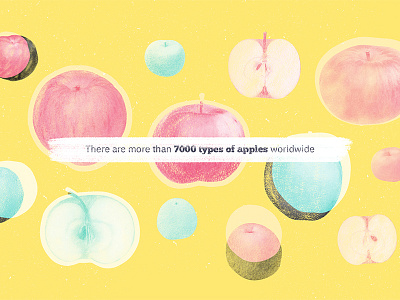 Apples collage color colors design graphic illustration vintage