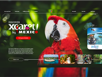 Xcaret Concept cancun concept concept design macaw mexico natural park park ui design ux design web xcaret