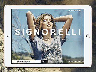 Shop Signorelli clean clothing design development elegant fashion front end simple ui ux women