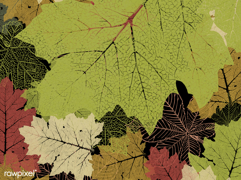 Autumn season autumn illustration leaf motion