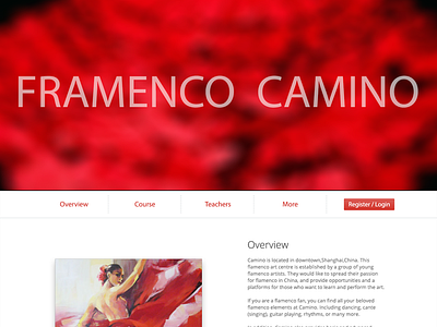 Camino web design flat layout minimal ui web design website