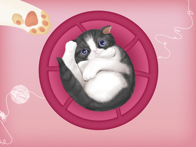 Hello dribbble animation cat gif hello rotate