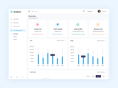 Budget Web Application app chart clean clean ui cost dashboard design illustration inspiration money typography ui uidesign ux uxdesign web webapp webdesign website website design